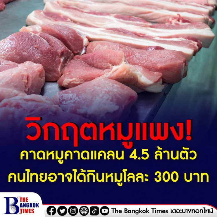 นักวิชาการคาดปีนี้ หมูขาดแคลน 4.5 ล้านตัว คนไทยอาจได้กินหมูกิโลกรัมละ 300 บาท  