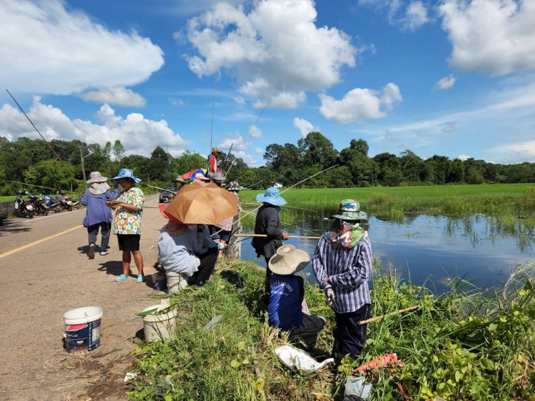 เกษตรกรกบินทร์บุรีเศร้าทุ่มนาข้าวจมน้ำเน่า-ซัดบ่อปลาแตกชาวบ้านแห่ดักจับปรุงอาหาร ขายยังชีพ