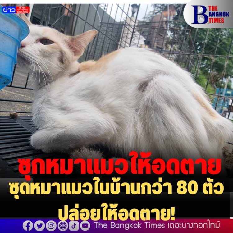 สุดสะเทือนใจ! หญิงซุกหมาแมวไว้ในบ้านกว่า 80 ตัวปล่อยให้อดตาย ผงะ ซุกซากศพหมาแมวในตู้เย็น
