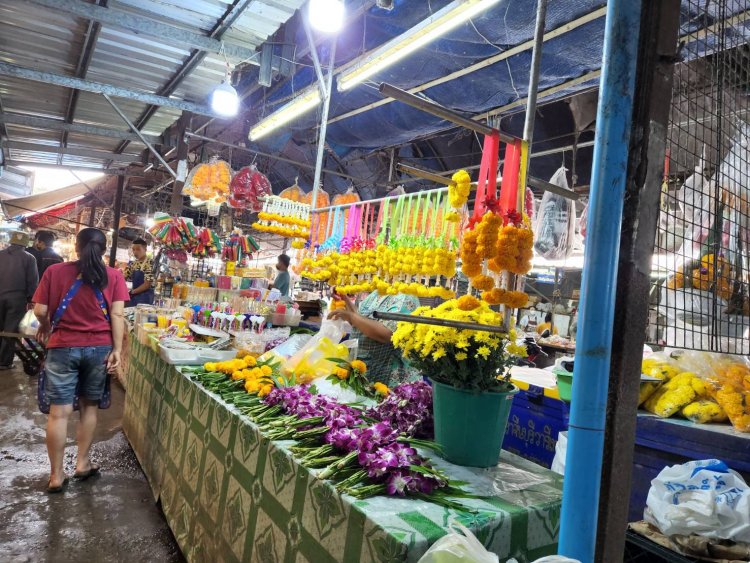ลอยกระทงเมืองปราจีนฯปีนี้!ตลาดขายส่ง ต้นกล้วย ใบตอง ดอกไม้ เครื่องประกอบกระทงคึกคักเป็นพิเศษ