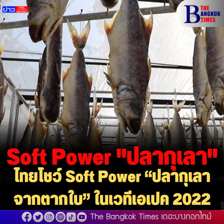 Soft Power “ปลากุเลาจากตากใบ” ในเวทีเอเปค 2022