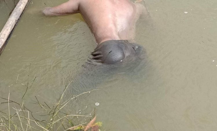 พบศพหนุ่มนิรนามดับปริศนามลอยน้ำอยู่ในแม่น้ำสายบุรีที่อำเภอจะแนะ
