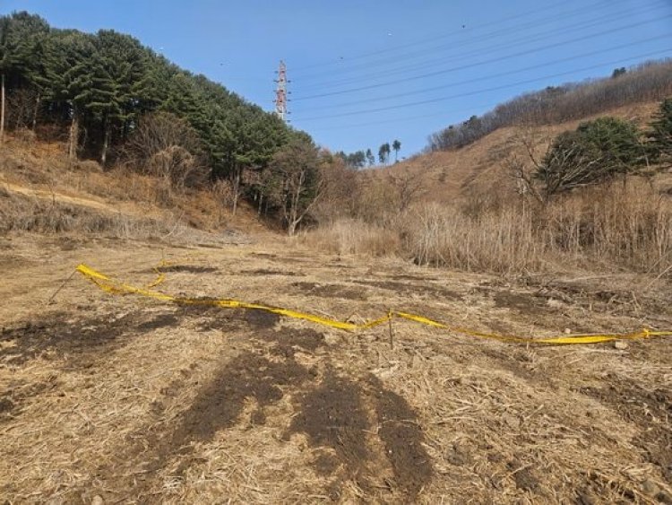 สลด!"ผีน้อย"ป่วยตายคาฟาร์มหมูที่เกาหลีใต้ เถ้าแก่กลัวความผิดอุ้มร่างทิ้งบนภูเขา