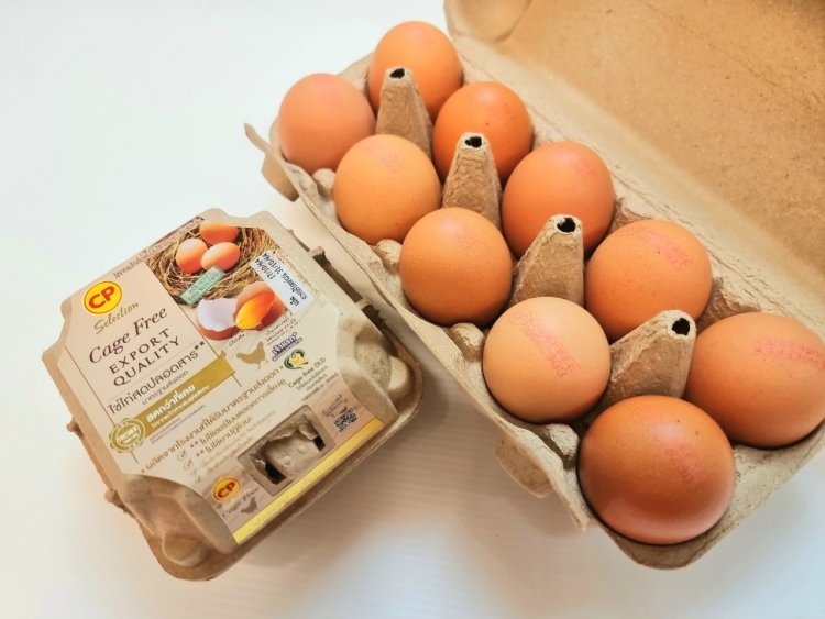 ซีพีเอฟ คัดสรร ไข่ไก่ Cage Free สด สะอาด ปลอดภัย มาตรฐานระดับสากล เพื่อส่งต่อสุขภาพที่ดีให้แก่ผู้บริโภค