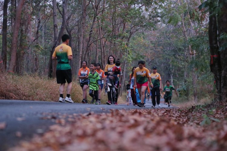 นักวิ่งครึ่งพันแห่วิ่งเทรลท่องผืนป่า 3 มรดกโลกพื้นที่สงวนชีวมณฑล วังน้ำเขียว
