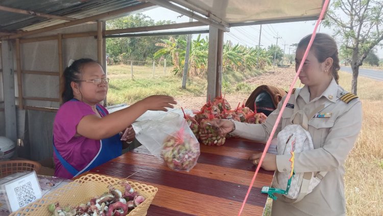เกษตรกรโคราชปลูกมะขามเทศเพชรโนนไทย 6 ไร่ สร้างรายได้หลักแสนต่อเดือน