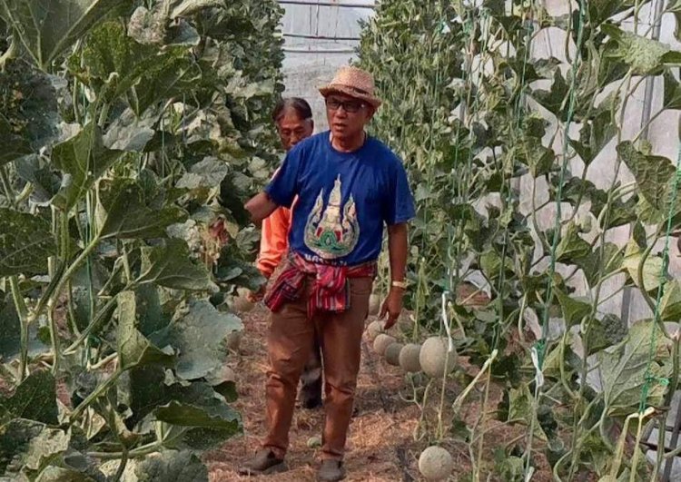 ประธานสภาเกษตรกรจังหวัดศรีสะเกษเยี่ยมให้กำลังใจสมาชิกเกษตรกรอินทรีย์ขุขันธ์