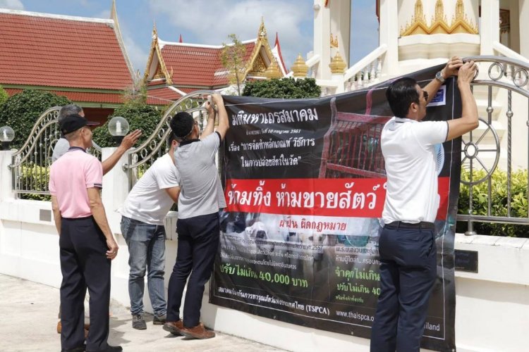 เลขา TSPCA แจงกรณีการห้ามปล่อยสัตว์ในวัด