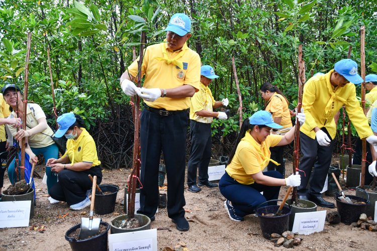 ชลบุรีจัดกิจกรรมจิตอาสา "เราทำความดี ด้วยหัวใจ" เฉลิมพระเกียรติในหลวง