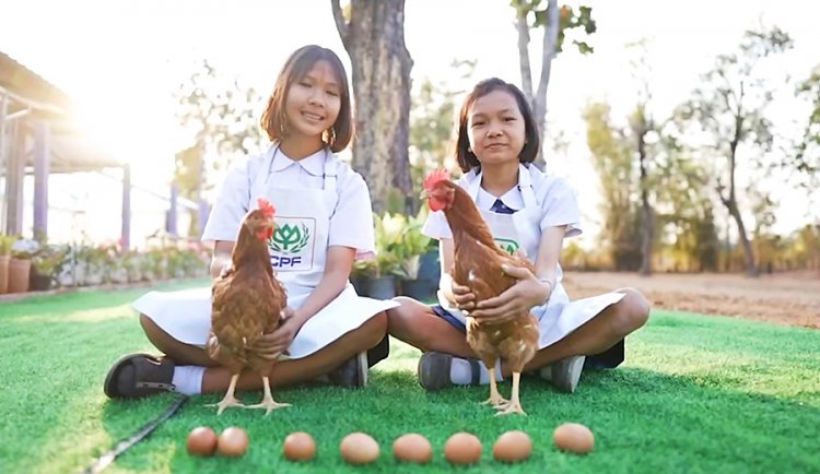 “โครงการเลี้ยงไก่ไข่เพื่ออาหารกลางวันนักเรียน” สร้างคลังอาหารที่ยั่งยืนในโรงเรียน-ชุมชน