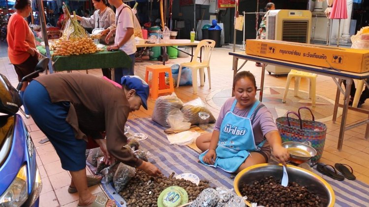 เห็ดเผาะล้นตลาดขอนแก่น จากเดิมขายกก. 800 เหลือ 100 บาท