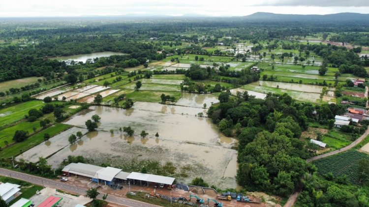 ฝนตกหนักนาข้าวเสนาคนิคมอำนาจฯจมน้ำแล้วกว่า 50 ไร่่