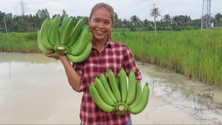 สาวโคราชพลิกวิกฤติลานมันฯขาดทุนหันปลูกกล้วยหอมทองส่งขายรายได้งาม