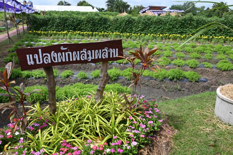 กรมวิชาการเกษตร จัดงานใหญ่เฉลิมพระเกียรติพระบาทสมเด็จพระเจ้าอยู่หัว  แจกฟรีพืชพันธุ์ดีกว่า 7 พันต้น