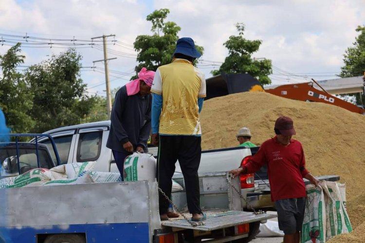 ชาวนาศรีสะเกษ ปลื้ม..! "โรงสีสหกรณ์ฯ" รับซื้อข้าวเปลือกสดที่ 11.65 บาท/กก.