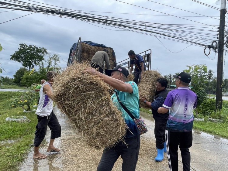 รัฐบาลเร่งช่วยเหลือเกษตรกรผู้เลี้ยงสัตว์ประสบอุทกภัยภาคใต้