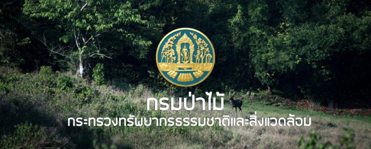 กรมป่าไม้ลุยอนุรักษ์ดิน-น้ำในพื้นที่ป่าสงวนฯลุ่มน้ำชั้นที่ ๑ และ ๒ เพื่อการอยู่อาศัยทำกินอย่างยั่งยืน