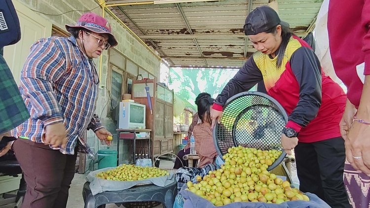 พุดซา 3 รสออเดอร์ปังช่วงเข้าปีใหม่ 4 ไร่ฟันเงินแสนมีเท่าไรก็ไม่พอ