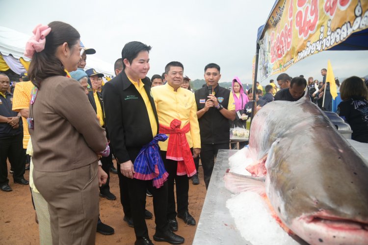 โครงการจับ 1 ปล่อย 100 กรมประมงได้ผล สร้างรายได้ชุมชนแก่งกระจานยั่งยืน