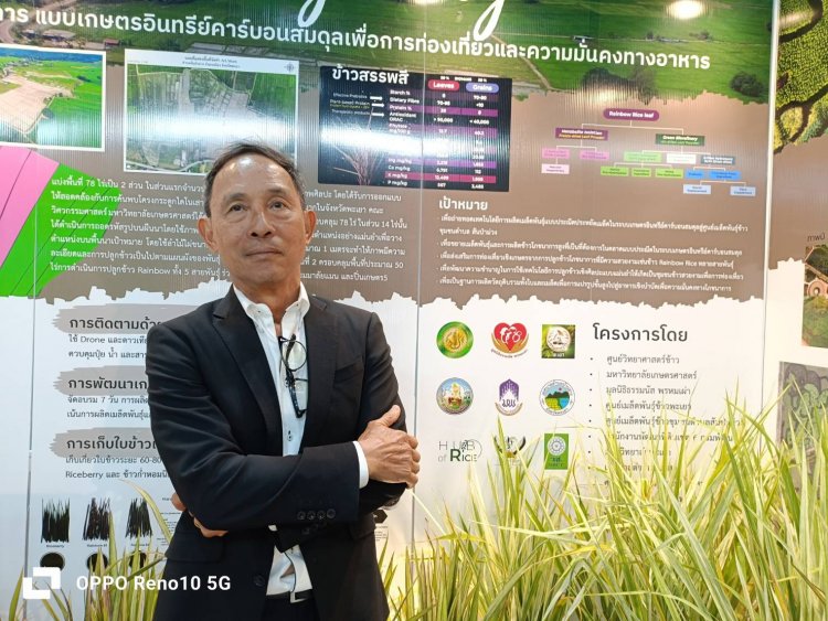 “นักวิชการ” ชี้ข้าวสรรพสี01 มีคุณค่าโปรตีนสูง-แปรรูปอาหารเพียบ