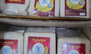 “ข้าวทรัพย์ยั่งยืน”หอมมะลิสั่งตรงสุรินทร์ คุณภาพเต็มร้อย หอม นุ่มโดนใจ