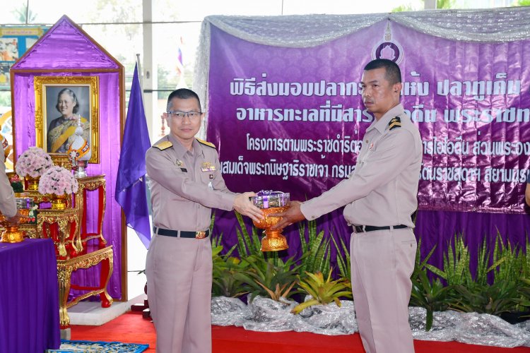 ชลบุรีส่งมอบปลากะตักแห้งร่วมโครงการส่วนพระองค์ กรมสมเด็จพระเทพฯ ต่อต้านโรคขาดสารไอโอดีน