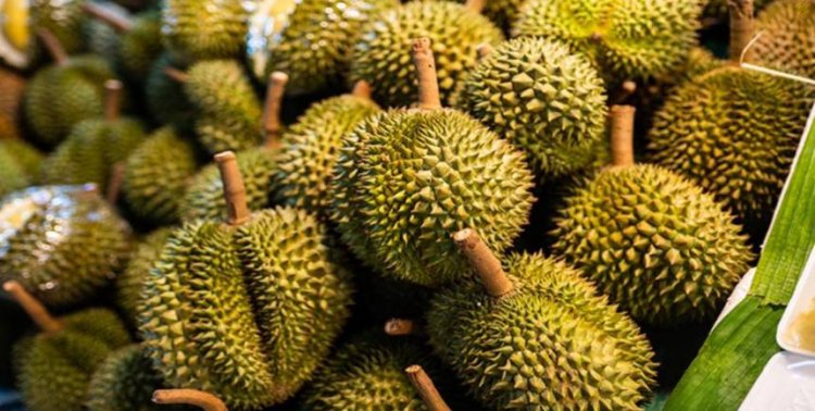 นฤมล มั่นใจทุเรียนไทยไร้สารปนเปื้อน ยังครองส่วนแบ่งตลาดในจีน 57%