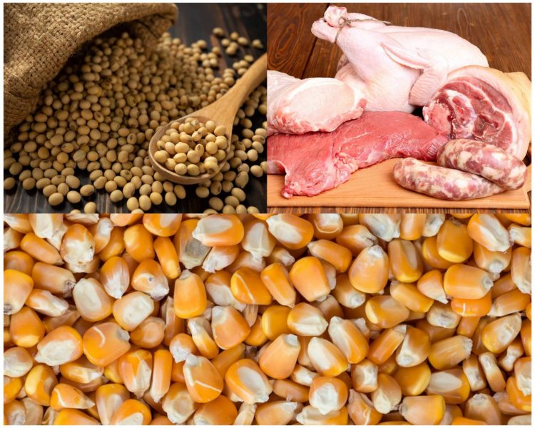 เปิดตลาดหมู-ไก่ ให้สหรัฐ ไทยต้องรอบคอบ ควรยกเลิกโควต้าและภาษีนำเข้าวัตถุดิบเสริมแกร่งปศุสัตว์ไทย