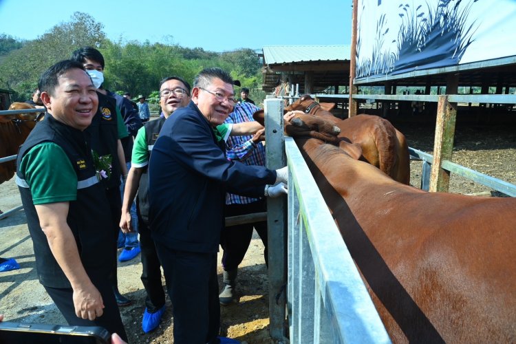 เดินหน้าฉีดวัคซีน ‘โรคลัมปี สกิน’7.8 ล้านโดส ป้องกันการระบาดสัตว์เลี้ยงโค กระบือ