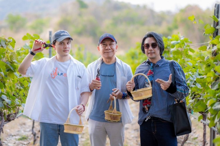 ชวนเชิญเที่ยวงาน Monsoon Valley Harvest Festival 2025
