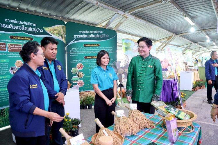 ชูสร้างอัตลักษณ์ข้าวหอมมะลิไทย สู่ตลาดโลกอย่างยั่งยืน