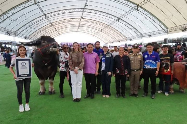 "ซาบีดา"รมช.มหาดไทยเปิดงาน"เทศกาลควายไทยอุทัยธานี"สร้างมูลคาเพิ่มกระบือไทย