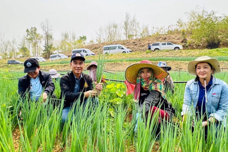 ชูเมืองพร้าวเชียงใหม่โมเดล ต้นแบบพัฒนาที่ดินและน้ำยั่งยืน