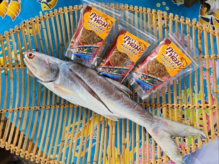 ดัน “กุเราหอมตากใบ” ขึ้นแท่นสินค้าใหม่ เพิ่มรายได้ให้ชาวประมง 3 เท่า ภายในปี 2570