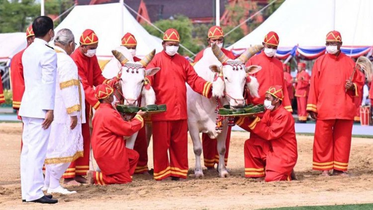 เตรียมจัดงานพระราชพิธีพืชมงคลจรดพระนังคัลแรกนาขวัญ ประจำปี 68