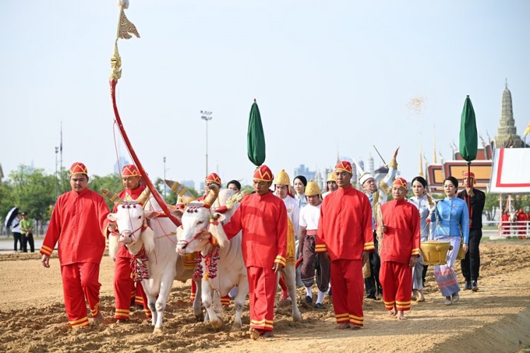 เปิดภาพพิธีซ้อมใหญ่พระราชพิธีพืชมงคลจรดพระนังคัลแรกนาขวัญ ประจำปี 2568