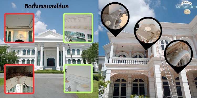 Optical gel ผลิตภัณฑ์ออแกนิก ไล่นกพิราบ“ทุกชีวิต อยู่ร่วมกันได้ โดยไม่เบียดเบียน”