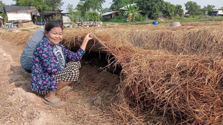 เกษตรกรกาฬสินธุ์‘ปลูกเห็ดฟาง’ลงทุนหลักพันฟันกำไรหลักหมื่นบาท
