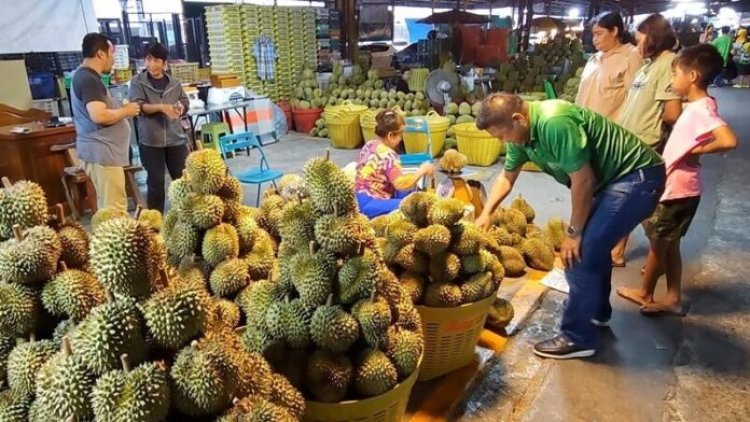 ประชาชนรัดเข็มขัดใช้จ่าย กำลังซื้อหดหาย ฉุดยอดขายทุเรียนตกต่ำ
