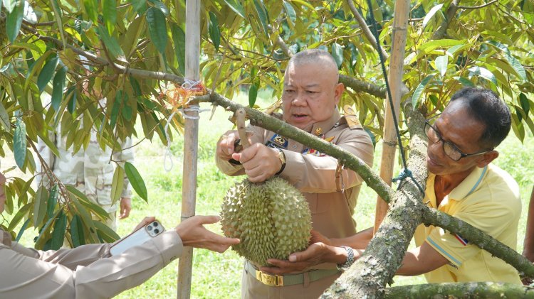 ผู้ว่าฯปราจีนบุรีดันสวนทุเรียนท่องเที่ยวเชิงเกษตรสร้างมูลค่าเพิ่มให้กับชุมชน