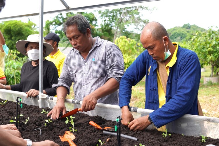 ชูภูมิปัญญาชาวบ้านปลูกผักยกแคร่อินทรีย์ครบวงจรแก้ปัญหาน้ำท่วม