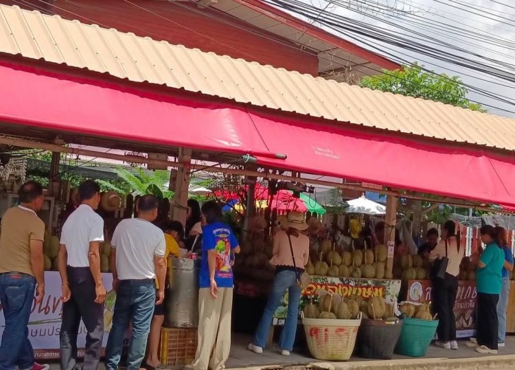 นทท.แห่ชิม ช้อป ทุเรียน ที่สวน"ลุงเกษม"ดันยอดขายพุ่งวันละ 2.5 แสนบาท
