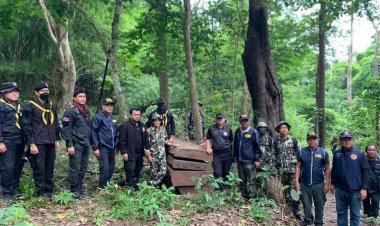 ทพ.35สนธิกำลังปราบปรามแก๊งมอดไม้ตัดไม้หวงห้าม