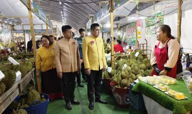 เริ่มแล้ว!"เทศกาลทุเรียนภูเขาไฟศรีสะเกษ ปี ๒๕๖๘"กระตุ้นศก.-ท่องเที่ยว
