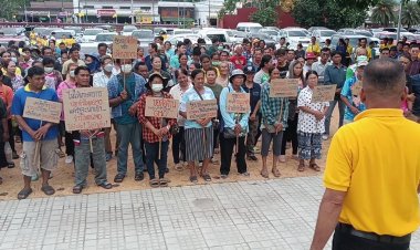 เกษตรกรค้าน ‘นำเข้าข้าวโพด GMO’ หวั่นฉุดราคาผลผลิตตกต่ำ