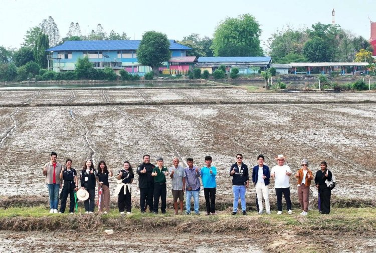 พลิกนาลดโลกร้อน“ปลูกข้าวแบบเปียกสลับแห้ง”นำร่องสุพรรณบุรี 500 ไร่
