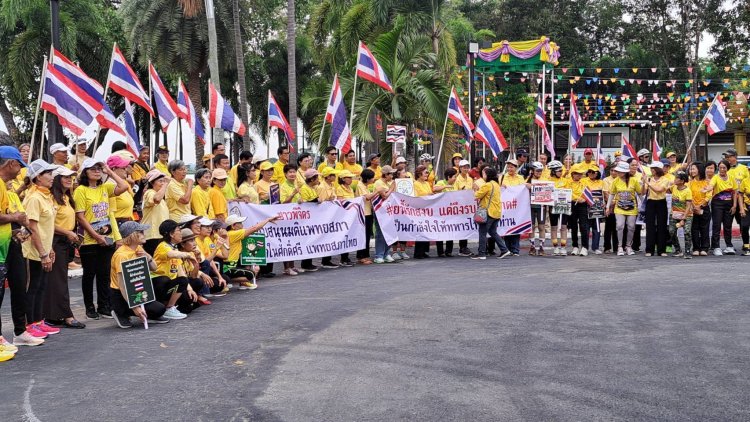พิจิตรรวมพล คนเสื้อเหลืองส่งพลังใจเชียร์แพทยสภา