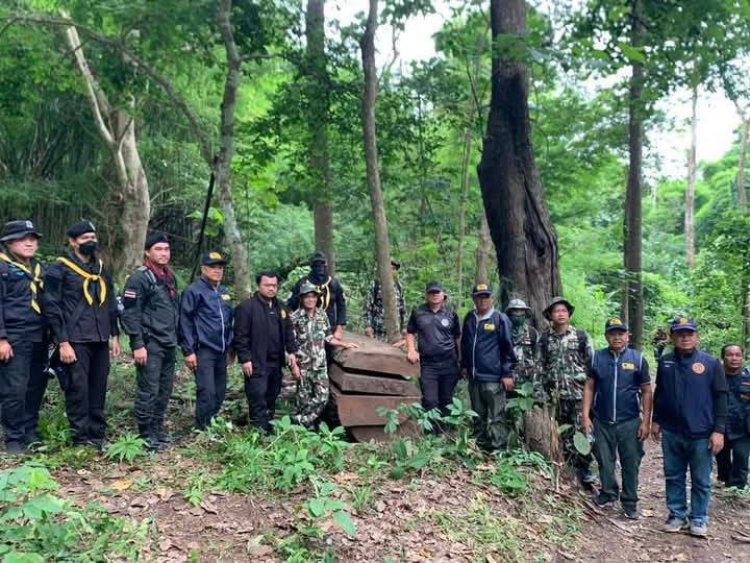 ทพ.35สนธิกำลังปราบปรามแก๊งมอดไม้ตัดไม้หวงห้าม