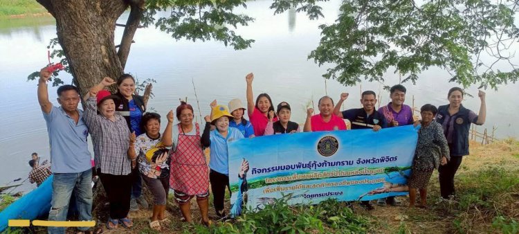 ประมงพิจิตรปล่อยปลา-กุ้งในช่วงฤดูน้ำหลากในแหล่งน้ำ 35 แห่ง 2.7 ล้านตัวและในบึงสีไฟ 2.5 ล้านตัว