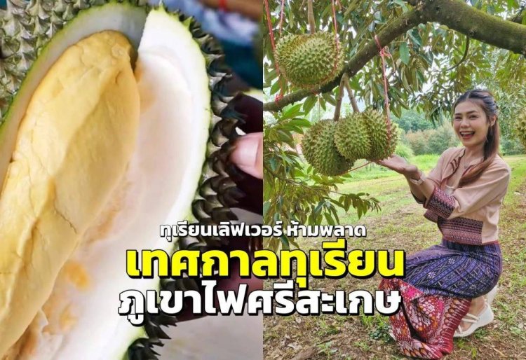 “เทศกาลทุเรียนภูเขาไฟศรีสะเกษ”ปลุกท่องเที่ยว กระตุ้นศก.สร้างรายได้ชุมชน
